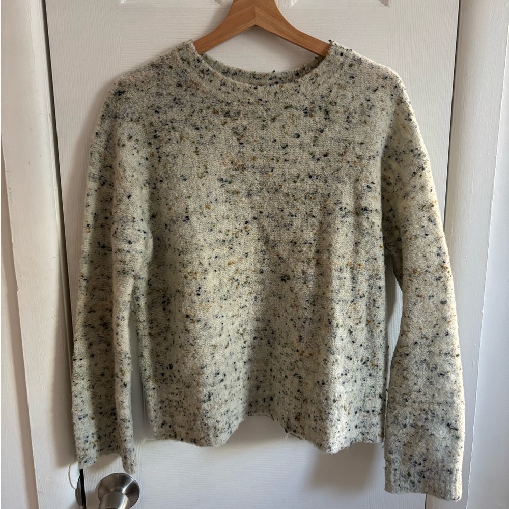 Everlane Confetti Crew Sweater